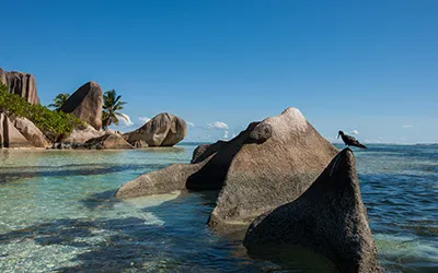 image - La plage de rêve