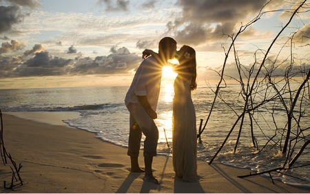 Bild - Hochzeit auf den Seychellen