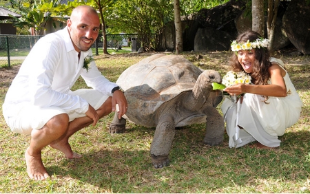 Bild - Hochzeit auf den Seychellen