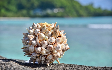 Bild - Hochzeit auf den Seychellen