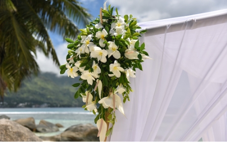 Bild - Hochzeit auf den Seychellen