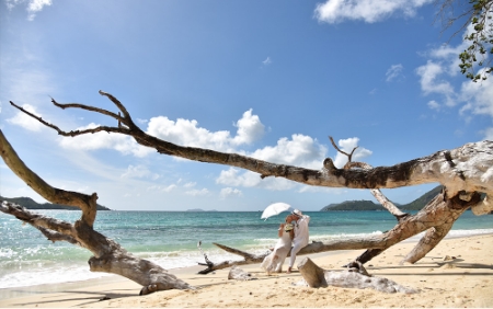 Bild - Hochzeit auf den Seychellen