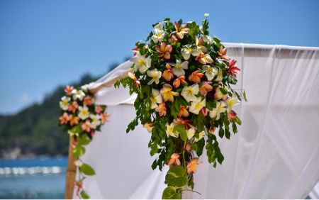 Bild - Hochzeit auf den Seychellen