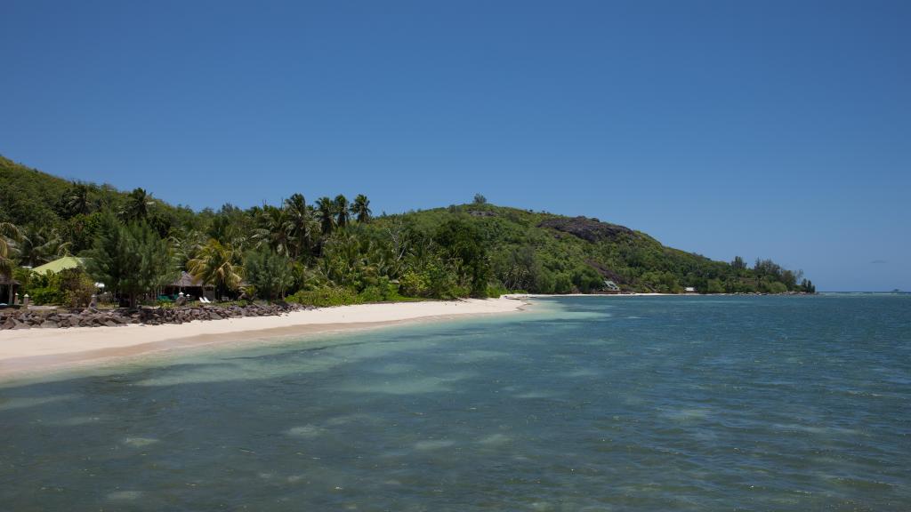 Foto 21: Fairy Tern - Cerf Island (Seychelles)