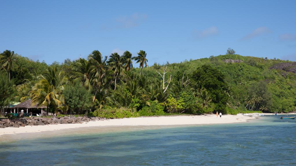 Photo 20: Fairy Tern - Cerf Island (Seychelles)