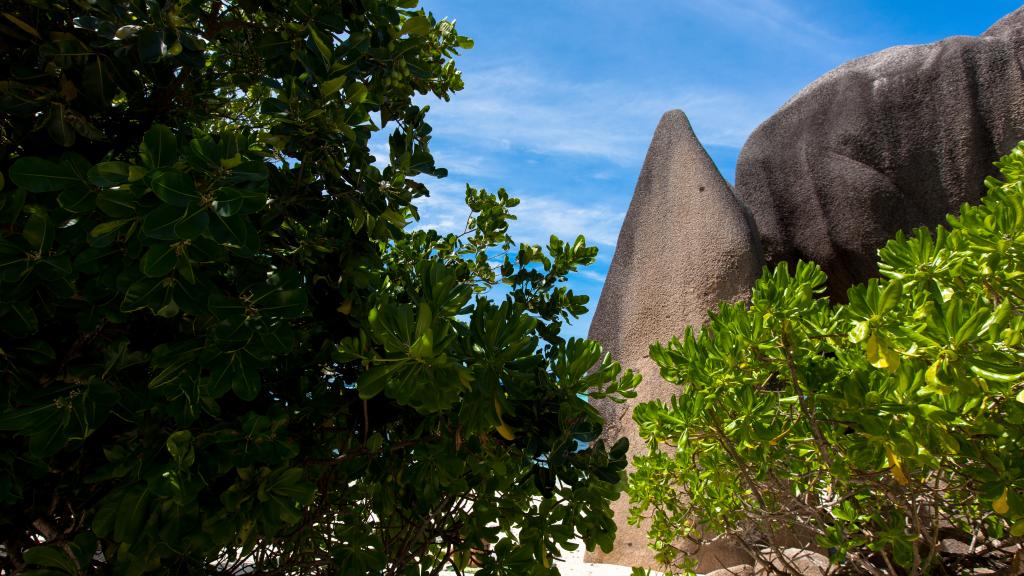 Foto 28: La Digue Island Lodge - La Digue (Seychelles)