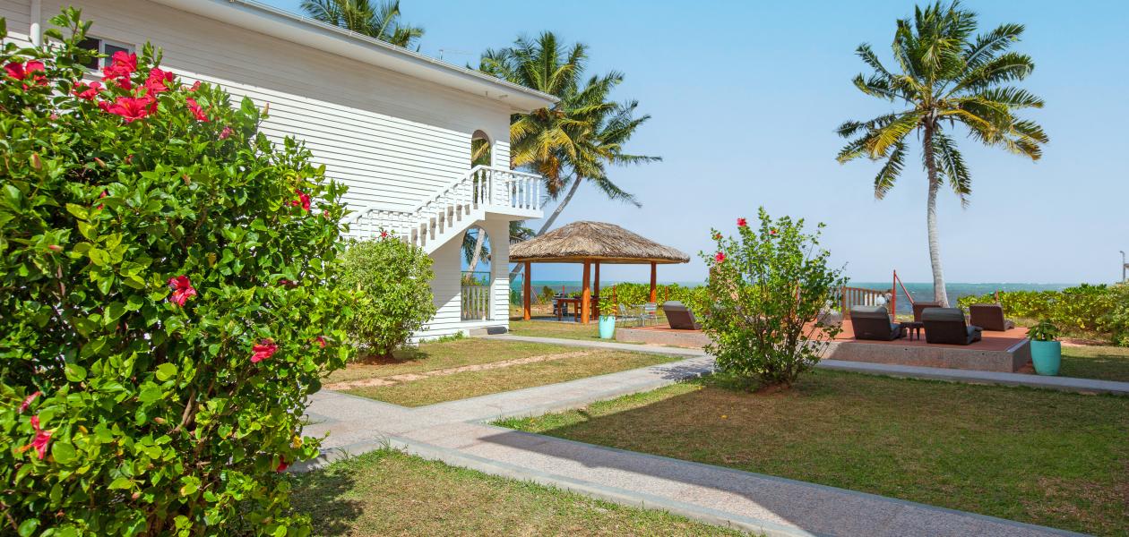 Le Tropique - Photo 1