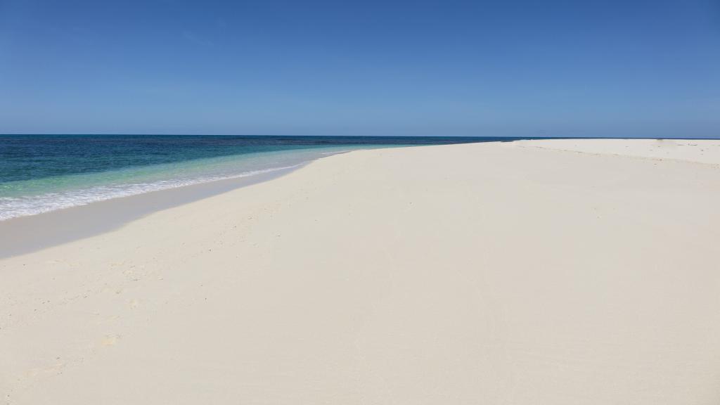 Photo 91: Denis Private Island - Denis Island (Seychelles)