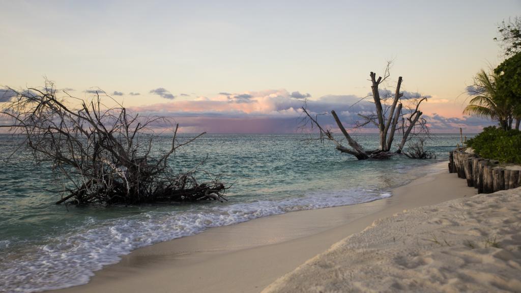 Photo 119: Denis Private Island - Denis Island (Seychelles)