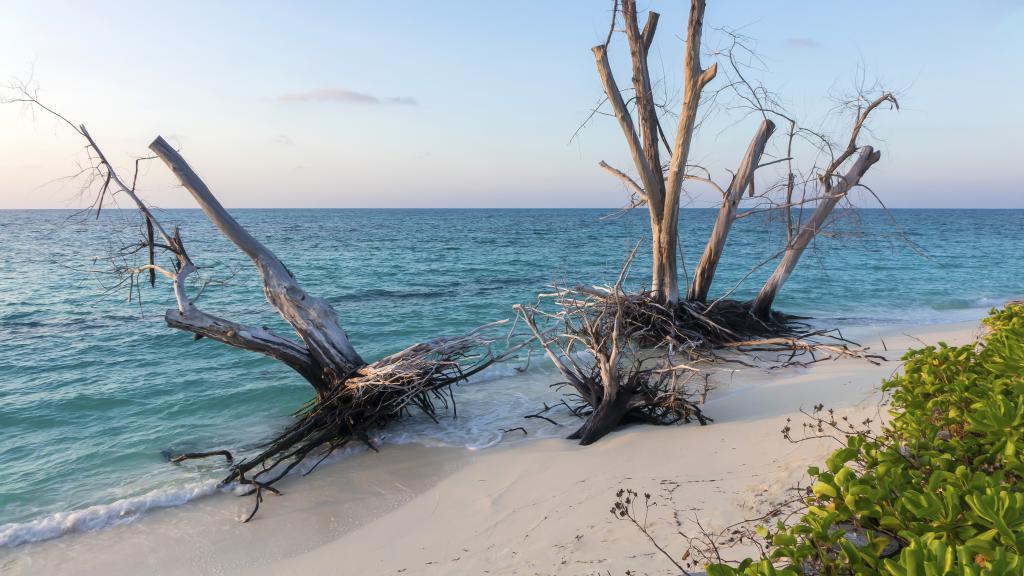 Foto 121: Denis Private Island - Denis Island (Seychelles)