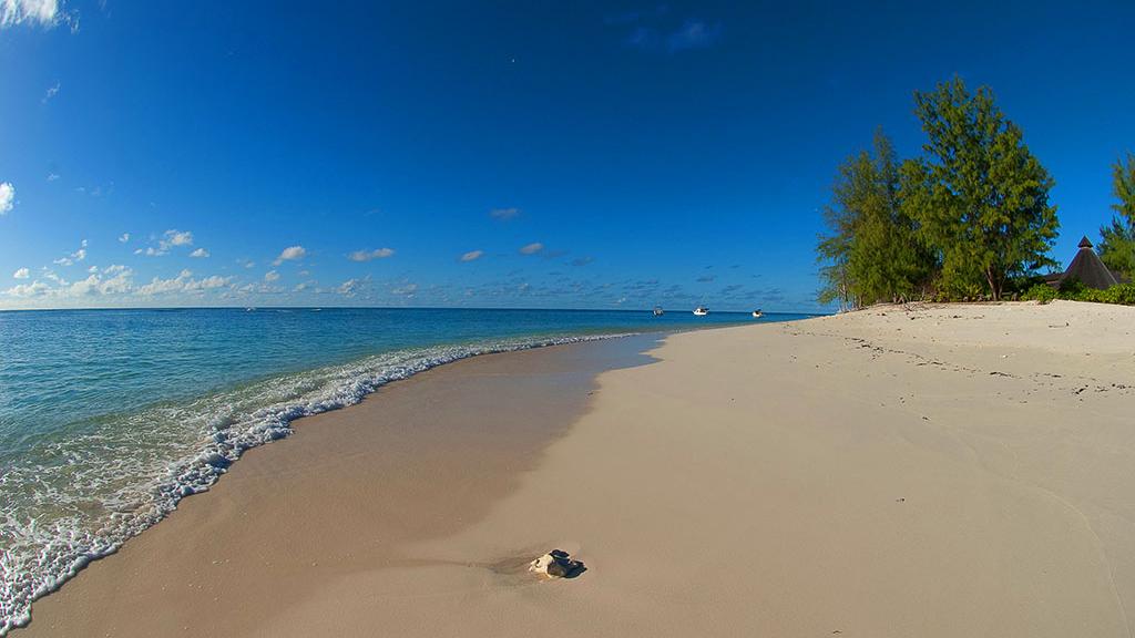 Photo 89: Denis Private Island - Denis Island (Seychelles)