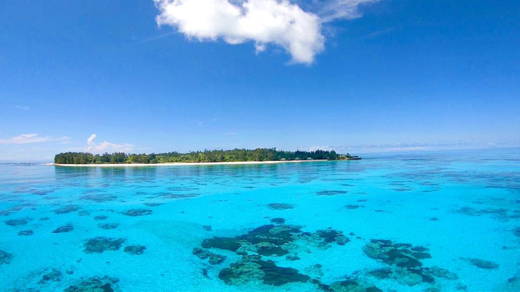 Foto 7: Denis Private Island - Denis Island (Seychelles)