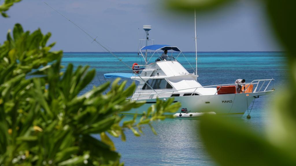 Photo 151: Denis Private Island - Denis Island (Seychelles)