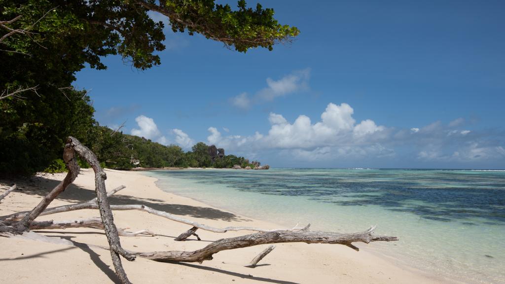 Photo 50: Villa Creole - La Digue (Seychelles)