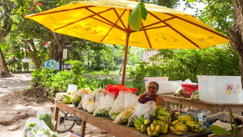 Photo 47: La Digue Self Catering - La Digue (Seychelles)