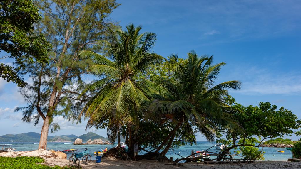 Photo 38: La Digue Self Catering - La Digue (Seychelles)