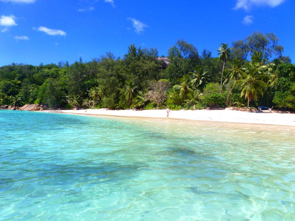 The Palm Seychelles - Photo 7