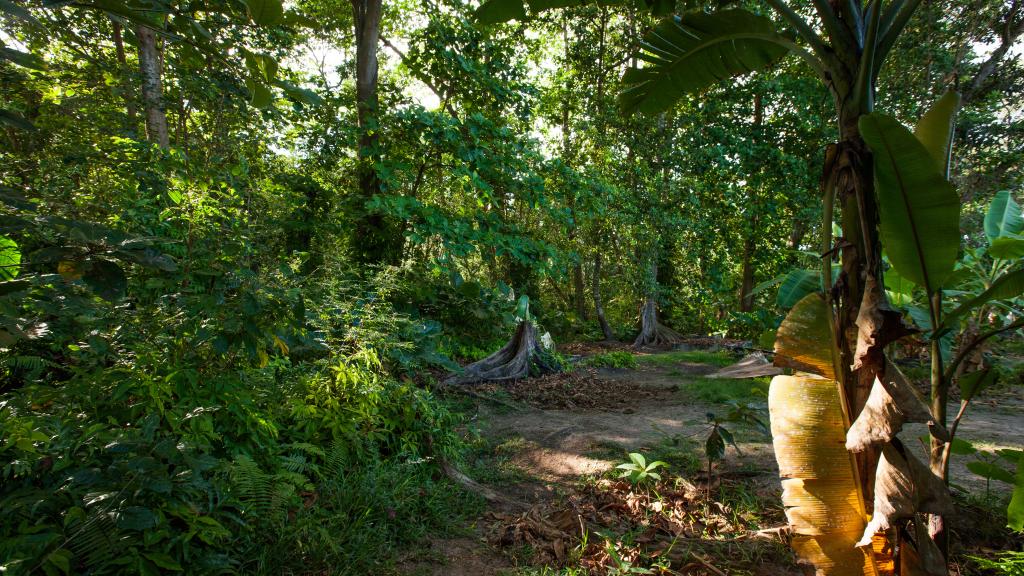 Foto 12: JMS Ventures - La Digue (Seychelles)