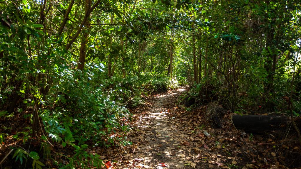 Foto 34: Villa Veuve - La Digue (Seychellen)