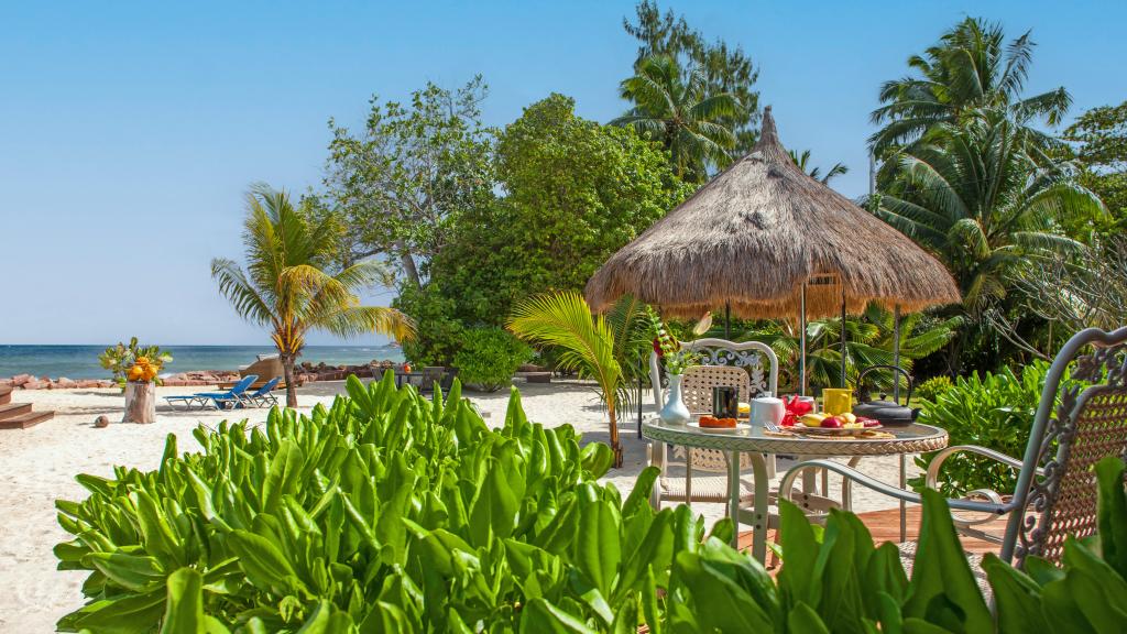 Islander Image of Islander