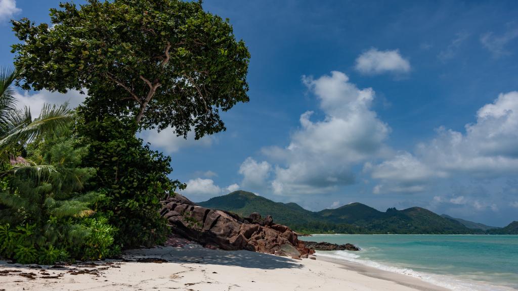 Photo 81: Hotel L'Archipel - Praslin (Seychelles)