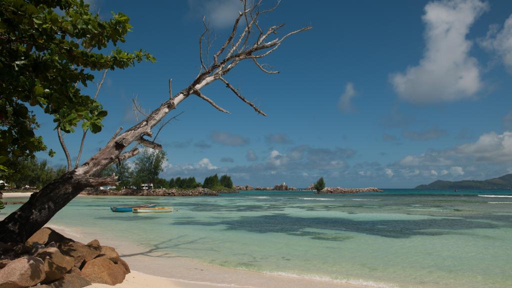 Foto 35: Moonlight Beach Villa - La Digue (Seychellen)