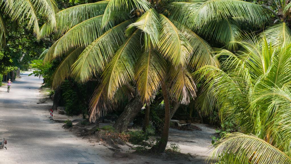 Foto 27: Moonlight Beach Villa - La Digue (Seychellen)