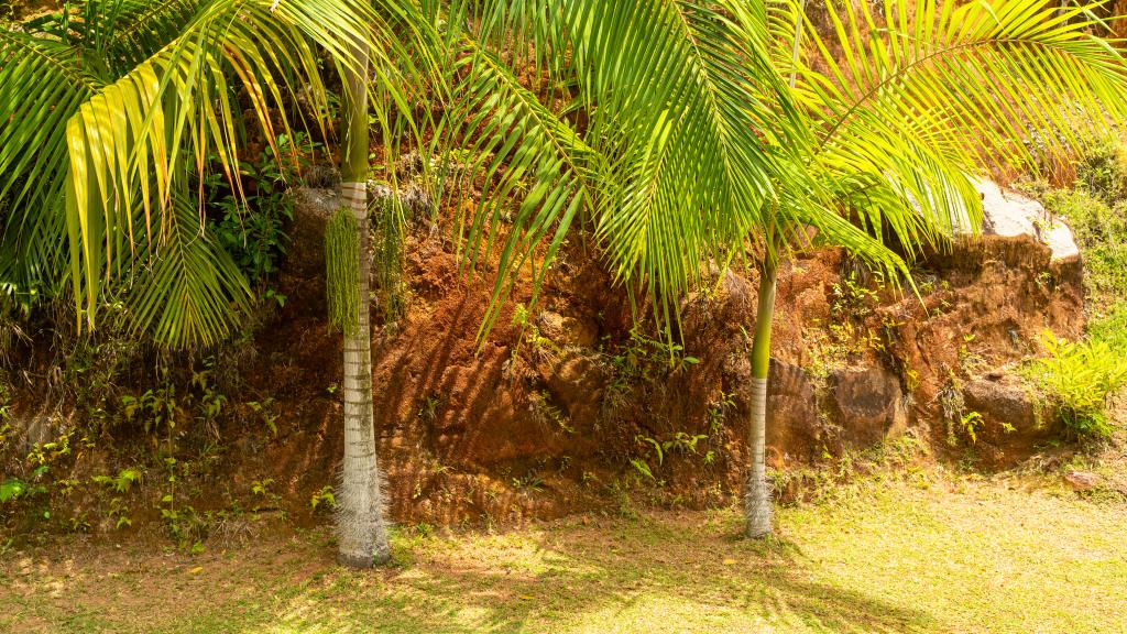 Photo 94: Villa Gazebo - Mahé (Seychelles)