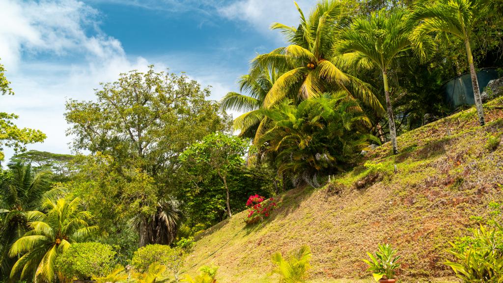 Photo 89: Villa Gazebo - Mahé (Seychelles)