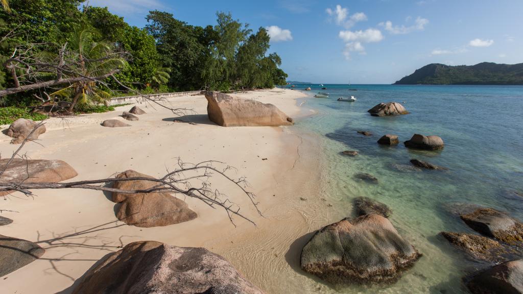 Foto 23: La Casa Grande - Praslin (Seychelles)