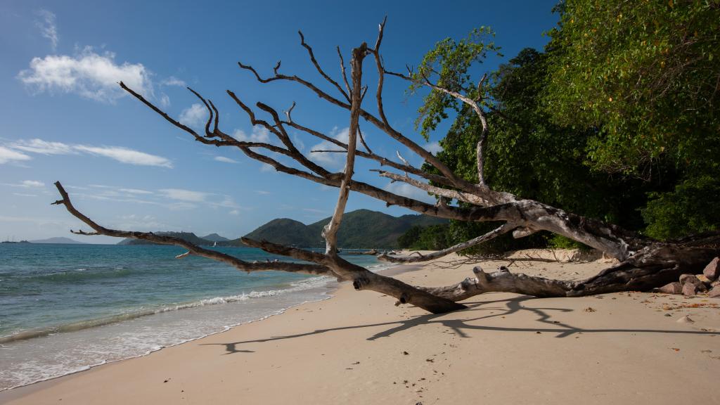 Photo 20: La Casa Grande - Praslin (Seychelles)