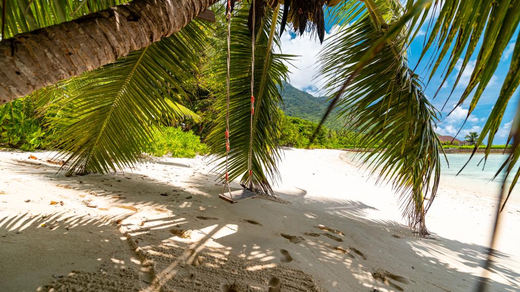 Foto 28: La Belle Tortue - Silhouette Island (Seychelles)