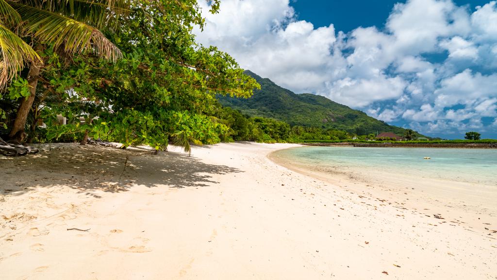 Foto 29: La Belle Tortue - Silhouette Island (Seychelles)