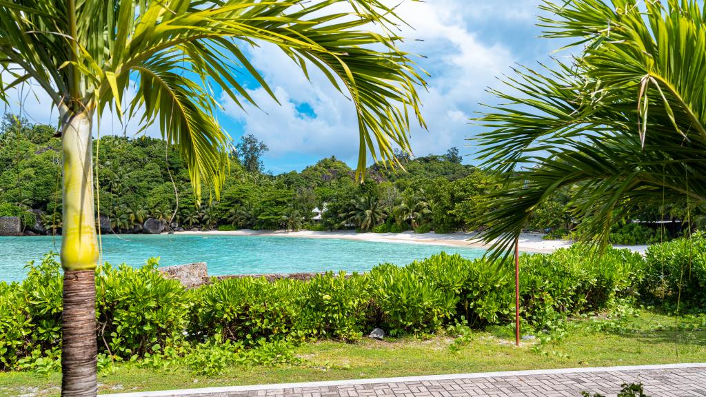 Foto 113: La Belle Tortue - Silhouette Island (Seychelles)