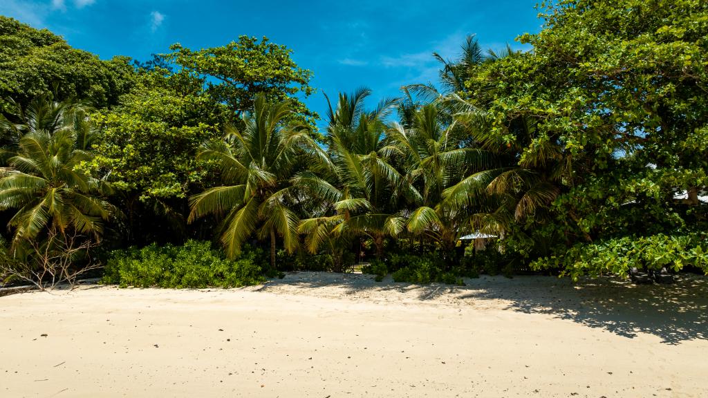 Foto 121: La Belle Tortue - Silhouette Island (Seychelles)