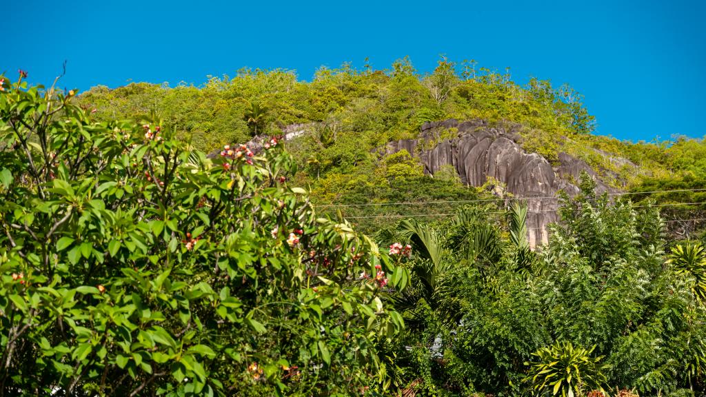 Foto 32: Bel Horizon - Mahé (Seychelles)