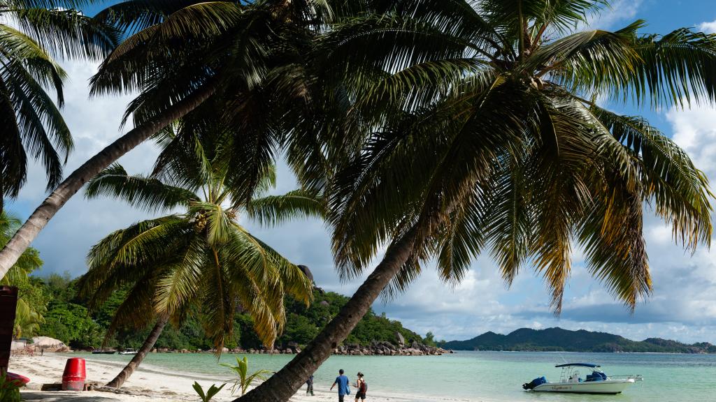 Photo 28: Village du Pecheur - Praslin (Seychelles)