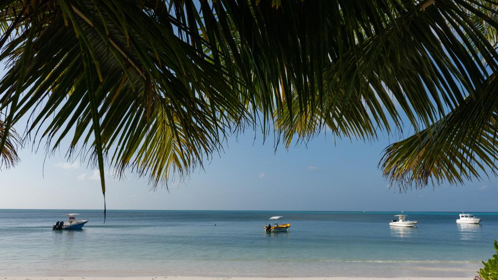 Foto 42: Ocean Jewels - Praslin (Seychelles)