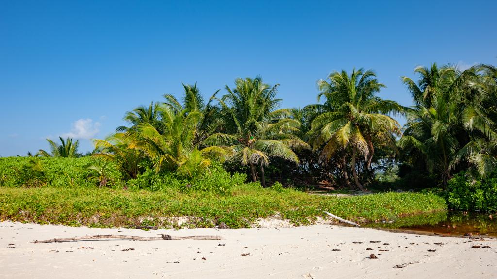 Foto 37: Ocean Jewels - Praslin (Seychelles)