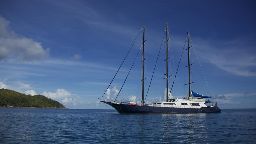 Foto 6: Silhouette Sea Star & Sea Bird - Seychellen (Seychellen)