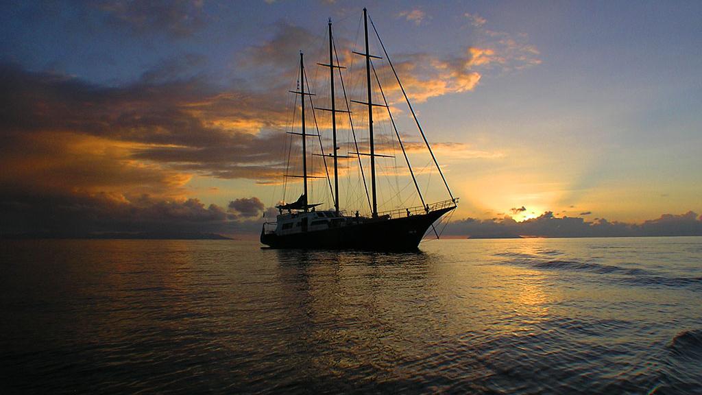 Foto 14: Silhouette Sea Star & Sea Bird - Seychellen (Seychellen)