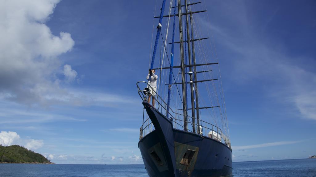 Foto 5: Silhouette Sea Star & Sea Bird - Seychellen (Seychellen)