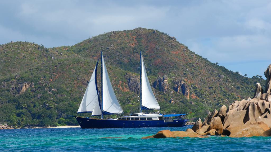 Foto 9: Silhouette Sea Star & Sea Bird - Seychellen (Seychellen)