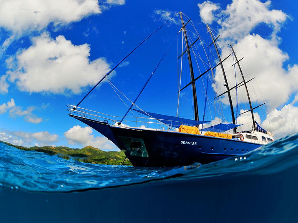 Silhouette Sea Star & Sea Bird - Foto 8