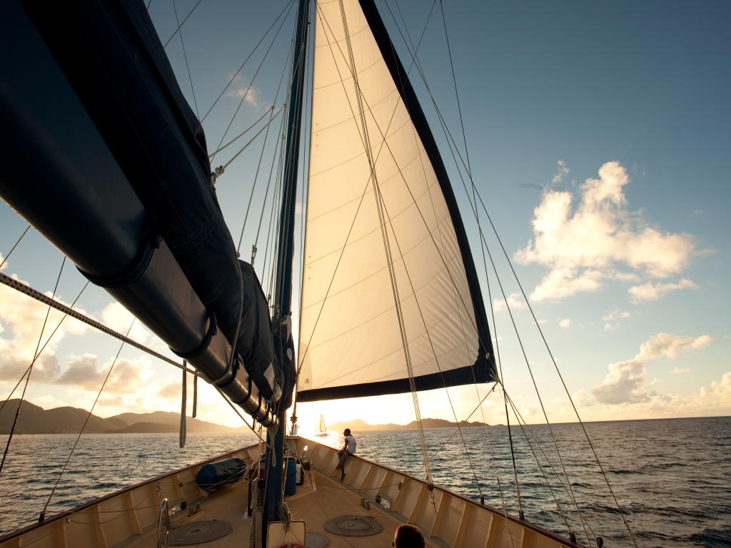 Silhouette Sea Star & Sea Bird - Foto 5