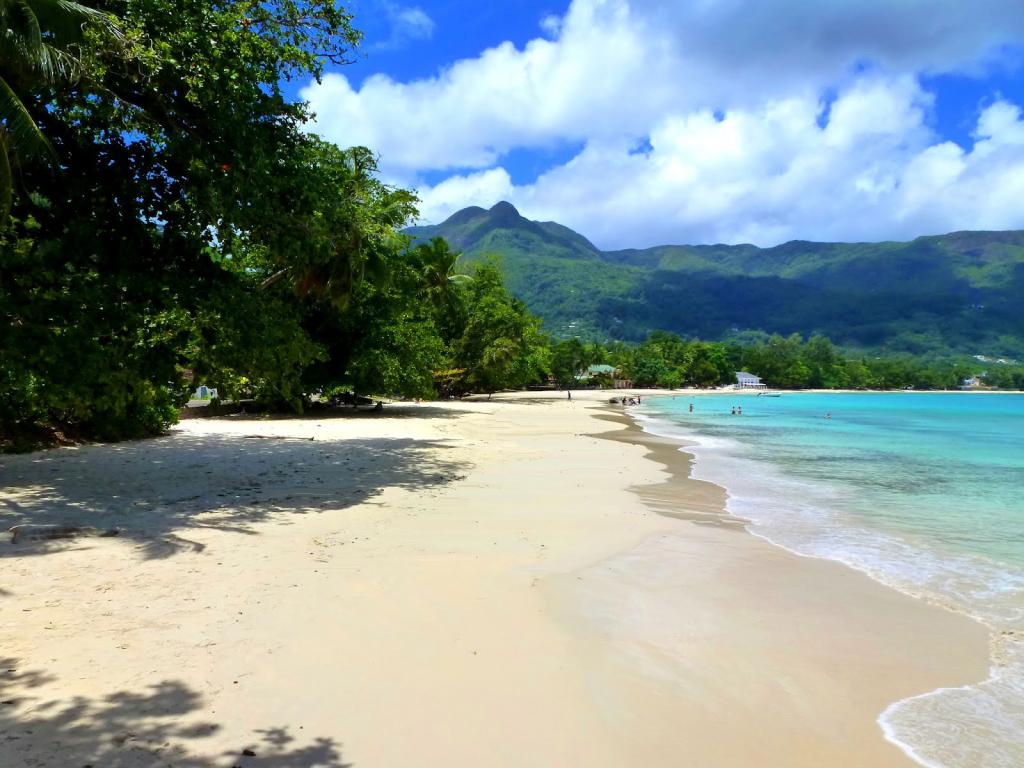 Silhouette Sea Star & Sea Bird - Foto 7