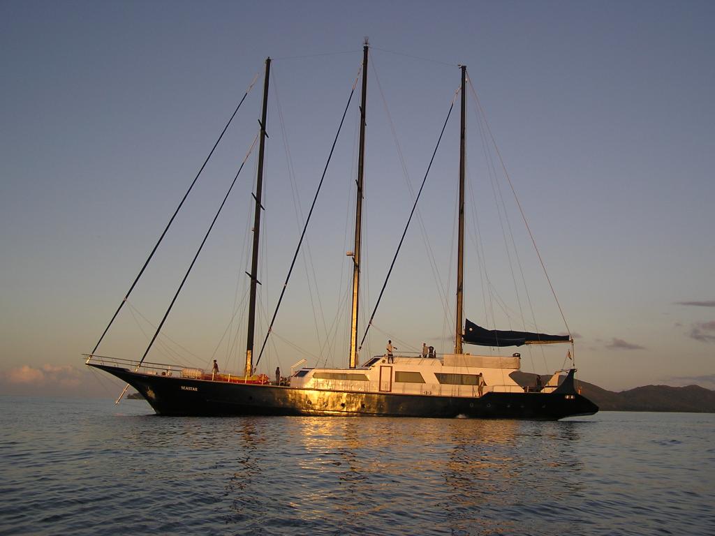 Silhouette Sea Star & Sea Bird - Foto 4