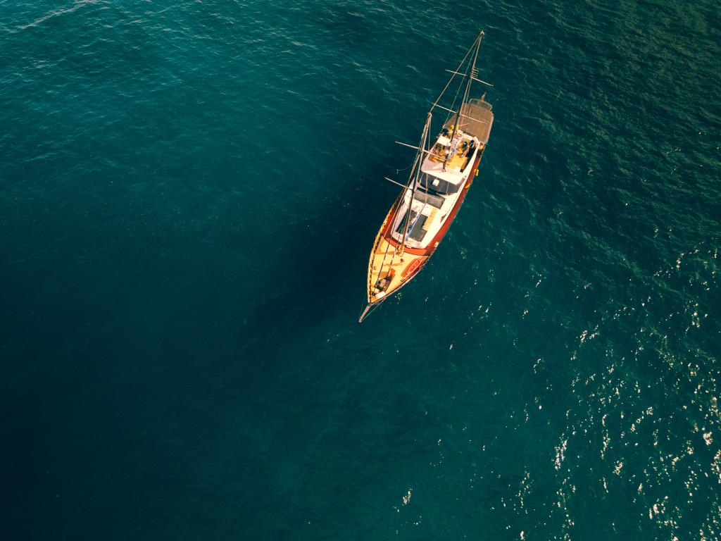 Silhouette Sea Star & Sea Bird - Foto 2