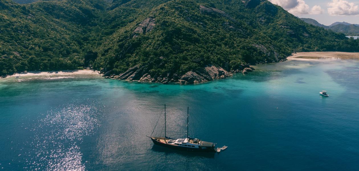 Silhouette Sea Star & Sea Bird - Foto 1