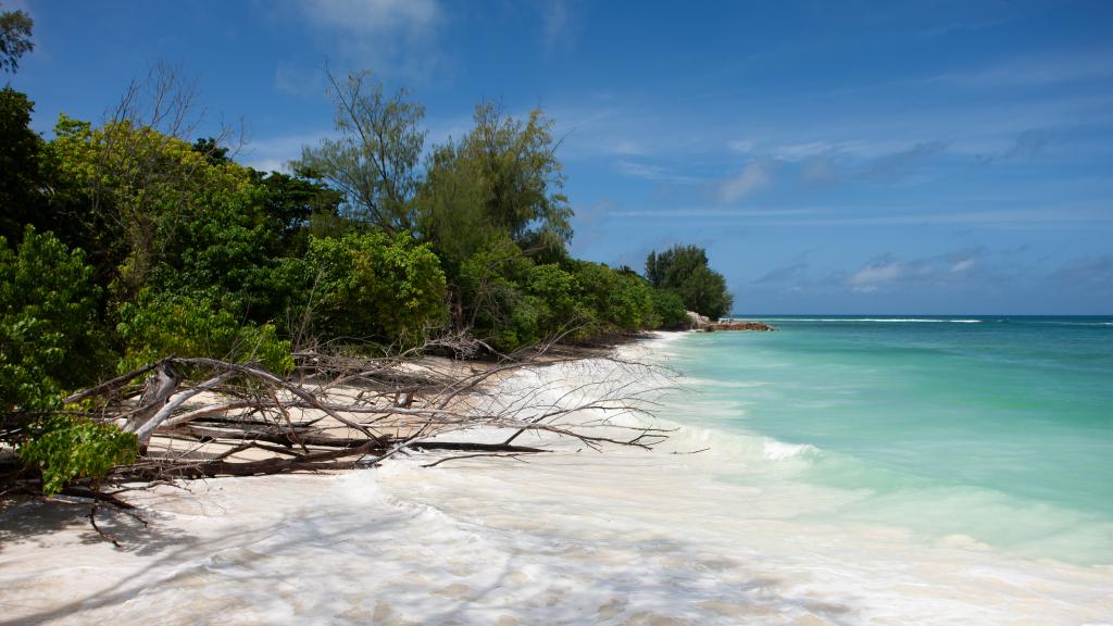 Foto 44: Casa Tara Villas - Praslin (Seychellen)